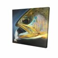 Fondo 16 x 16 in. Golden Trout with Fly Fishing Flie-Print on Canvas FO2793335